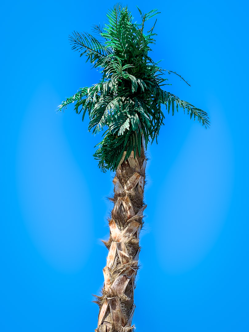 Türkiye – Kuşadası