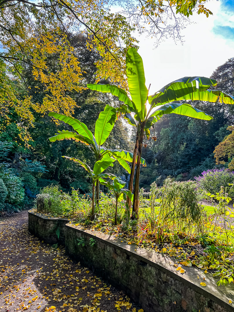 England – Norwich – The Plantation Garden