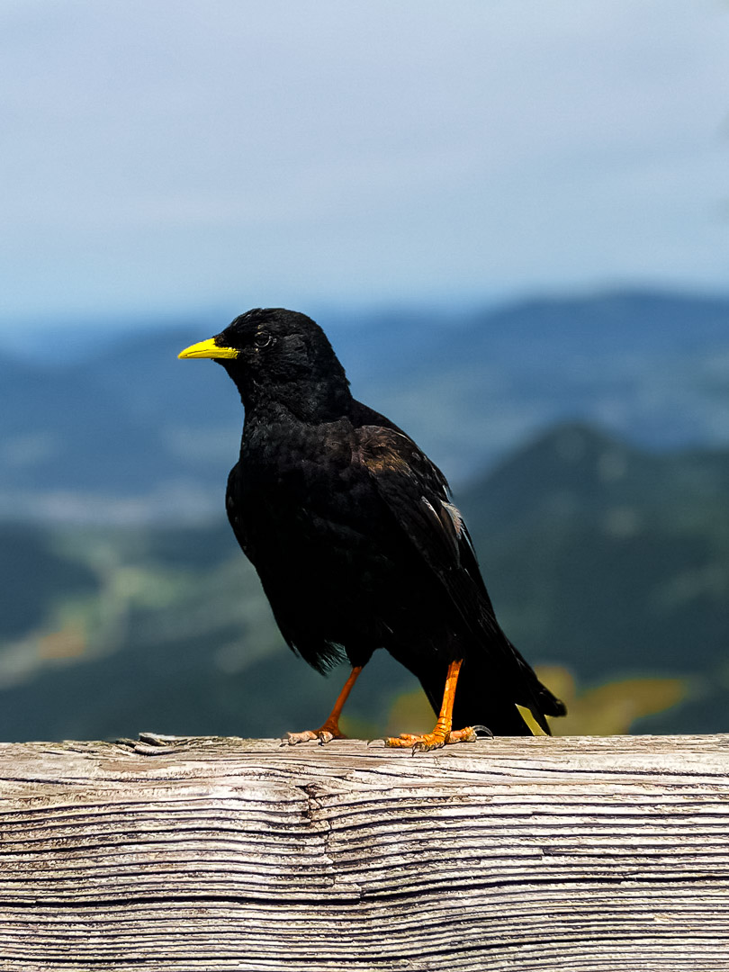 Germany – Berchtesgaden