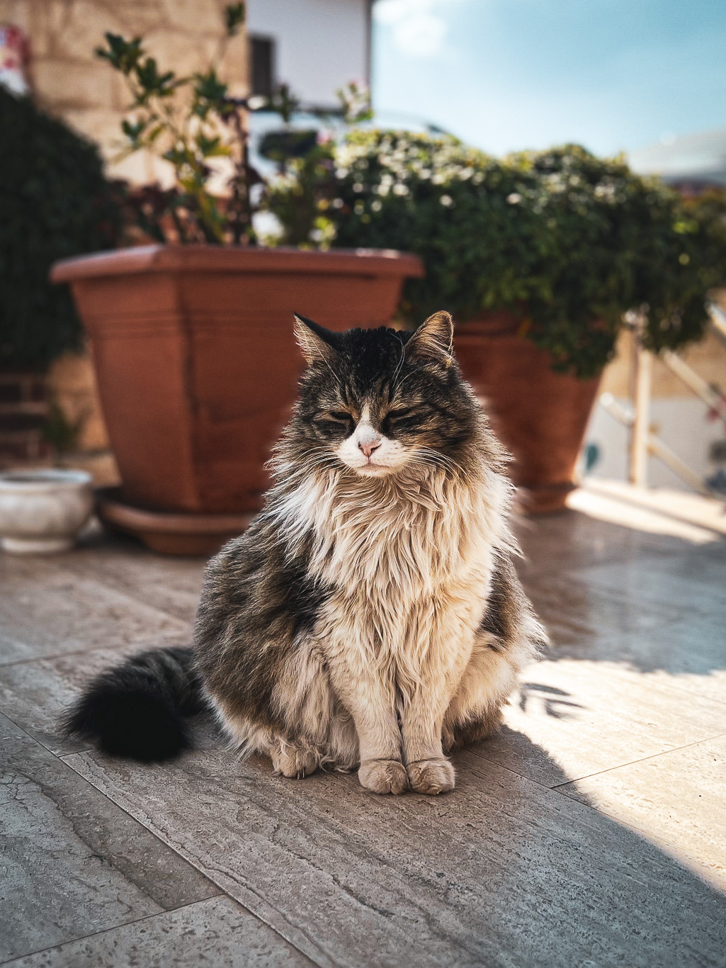 Türkiye – Kaş