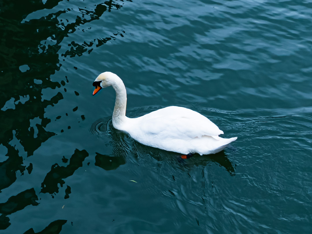 England – Cambridge