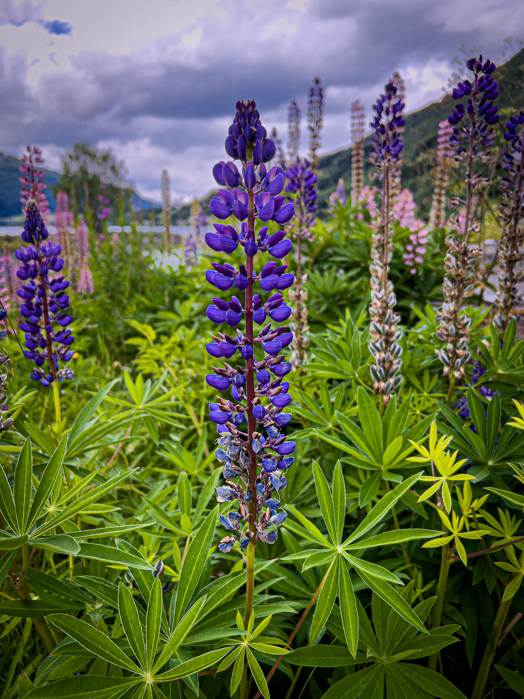 Norway – Loen