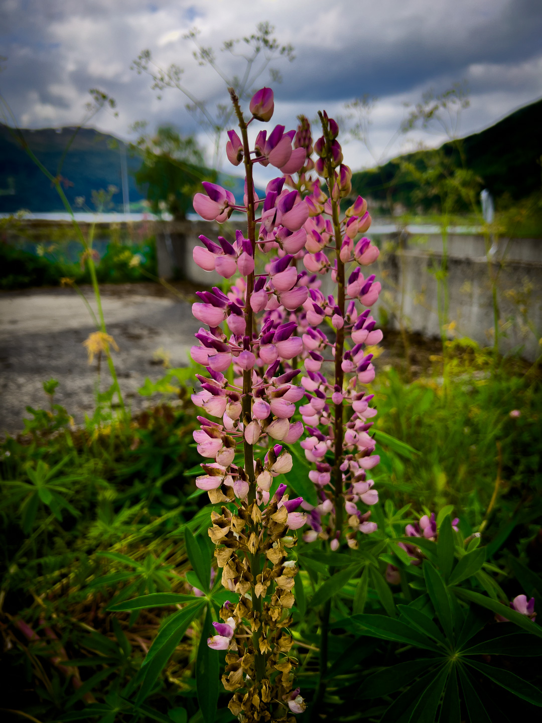 Norway – Loen