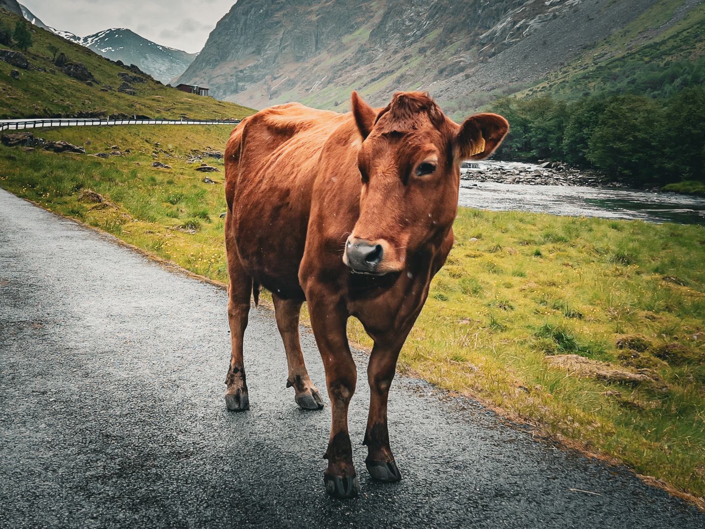 Norway – Byrkjelo