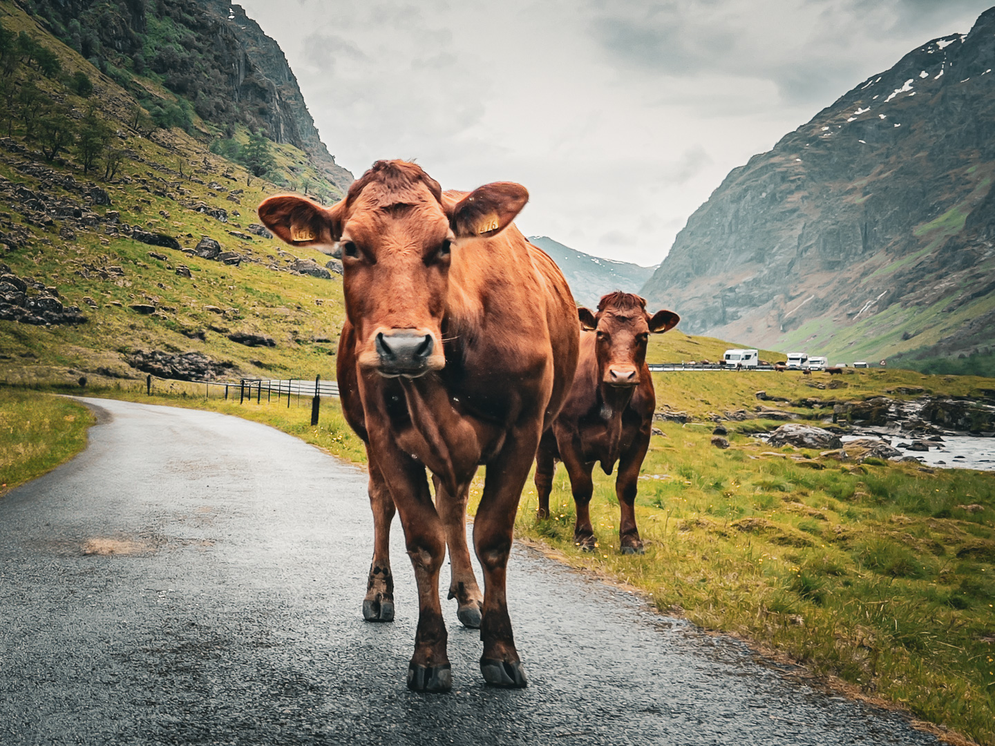 Norway – Byrkjelo